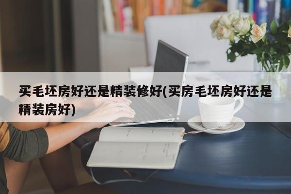 买毛坯房好还是精装修好(买房毛坯房好还是精装房好)
