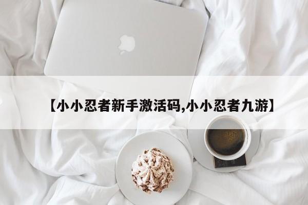 【小小忍者新手激活码,小小忍者九游】